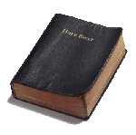 Read & Study God's Word